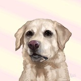 Telegram profile photo for Mirínda