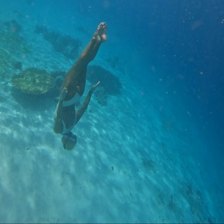 Telegram profile photo for OSEYA Freediving/школа фридайвинга