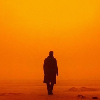Telegram profile photo for No Philosophy