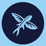 Telegram profile photo for ФЛАЙ & СЕРФ Воронеж
