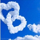 Telegram profile photo for مراحل ثبت فرم