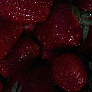 Telegram profile photo for лунный клык|анкеты