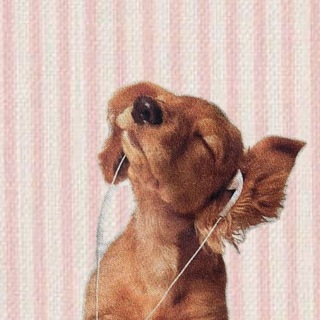 Telegram profile photo for еваша