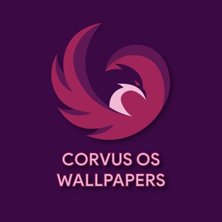 Telegram profile photo for Corvus-AOSP Official | Wallpapers