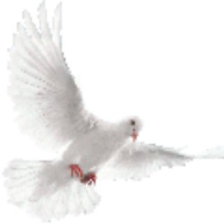 Telegram group profile photo for Душевное равновесие