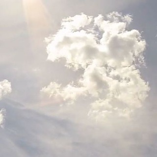 Telegram profile photo for Contrail-Monitoring D-79199 Kirchzarten
