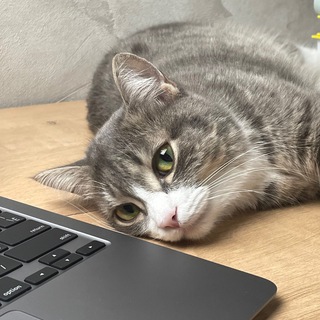 Telegram profile photo for Дизайн тусовка