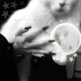 Telegram profile photo for the end. горная са́кура