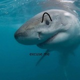 Telegram profile photo for ππ¨ ππ‘π£