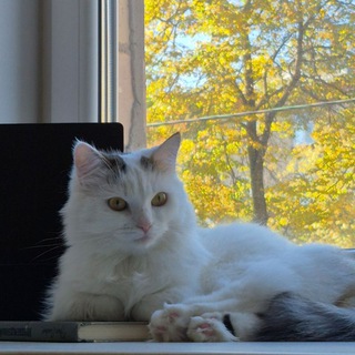 Telegram profile photo for меня зовут ярость