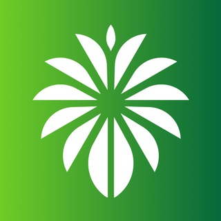 Telegram profile photo for Saudi Youth Opportunities