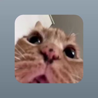 Telegram group profile photo for vtrihue