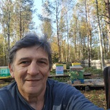 Telegram profile photo for Медовая дача