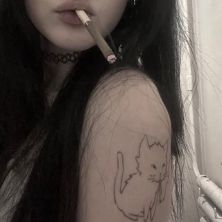 Telegram profile photo for отзывы молли
