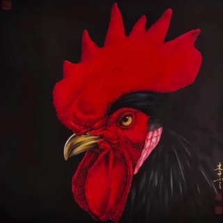 Telegram profile photo for zfb 微代实名技术通知