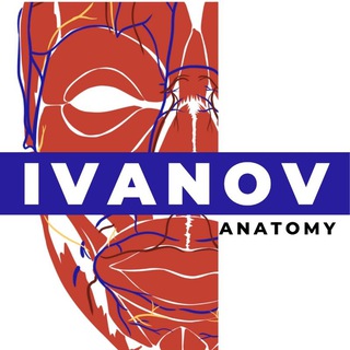 Telegram profile photo for IvanovAnatomy💀Кадавер-курсы