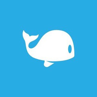 Telegram profile photo for CAEB Moby Dick