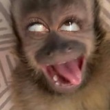 Telegram profile photo for фанатка пейтона окак🥵