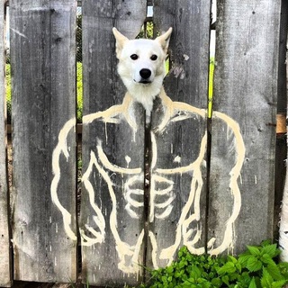 Telegram profile photo for Забористый бред