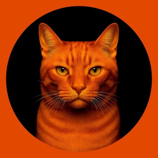 Telegram profile photo for ByBit Mascot - Billi Portal