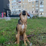 Telegram profile photo for 𝑹𝑶𝑲𝑺𝑻𝑨𝑹