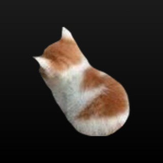 Telegram profile photo for Открывай, это Женя