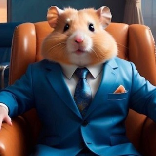 Telegram profile photo for Hamster сигналы - будь первым