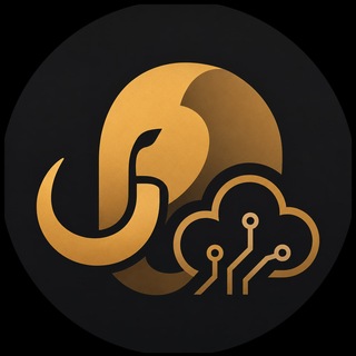 Telegram profile photo for DarkSide info