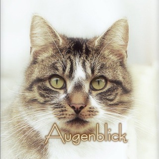 Telegram profile photo for πΈπ¦ππππππππ