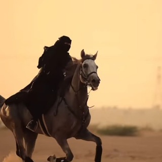 Telegram profile photo for Al Wadud