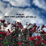 Telegram profile photo for |يَقِينْ.