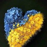 Telegram profile photo for Отакої💙💛