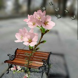 Telegram profile photo for 🎨..🎻ابداع.... وجمال..🌹✨