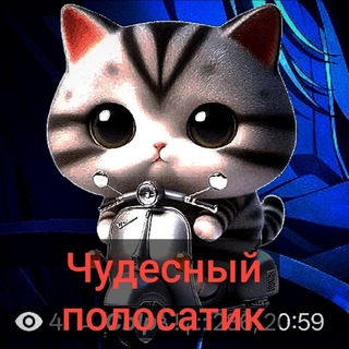 Telegram profile photo for СсЫЫвр