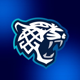 Telegram profile photo for МХК «Снежные Барсы»