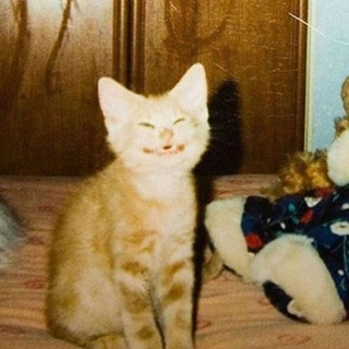 Telegram profile photo for вася мет.