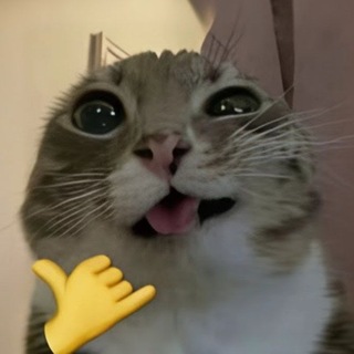 Telegram profile photo for Бесплатный канал