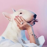 Telegram profile photo for Ой, какие мы нежные
