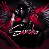 Telegram profile photo for Отзывы Sancho