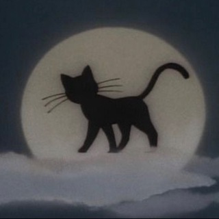 Telegram profile photo for Польский на котиках