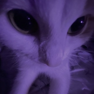 Telegram profile photo for емае даша