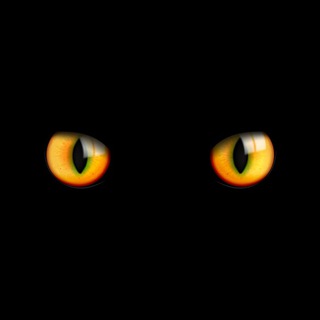 Telegram profile photo for π»ππ£π ππ π π