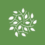Telegram profile photo for Фитоздравница