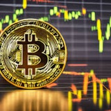 Telegram profile photo for Cryptocurrency life