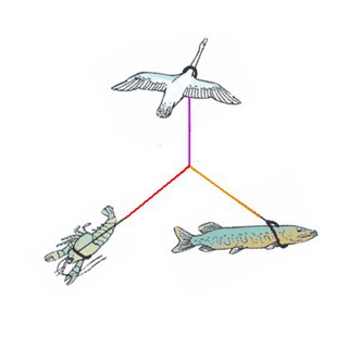 Telegram profile photo for Чарли, Карп и Щука