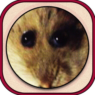 Telegram profile photo for hampterfi