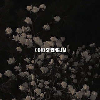 Telegram profile photo for Spring.fm