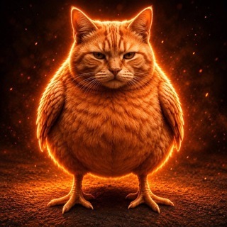 Telegram profile photo for chicken cat | $CC
