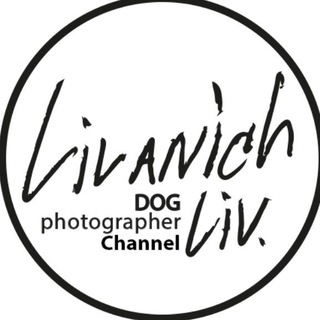 Telegram profile photo for Livanich Liv Dog Photo