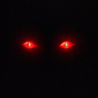 Telegram profile photo for Xolderok News